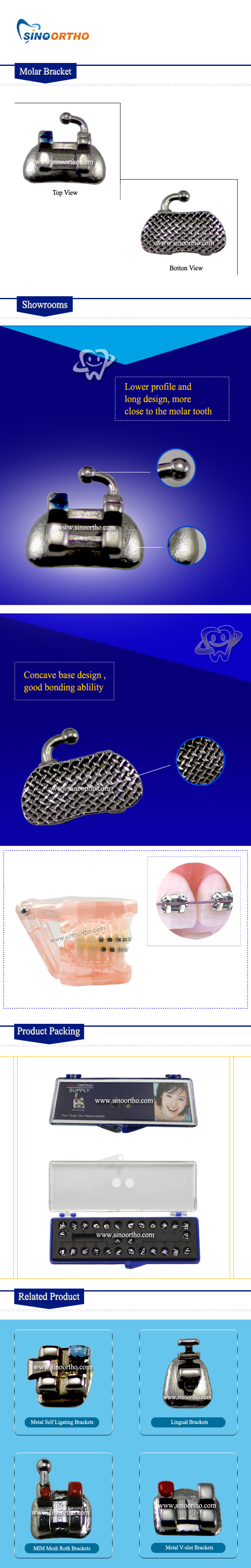 Molar-Bracket
