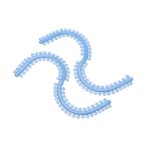 S-Separators