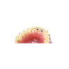 Bite Guide