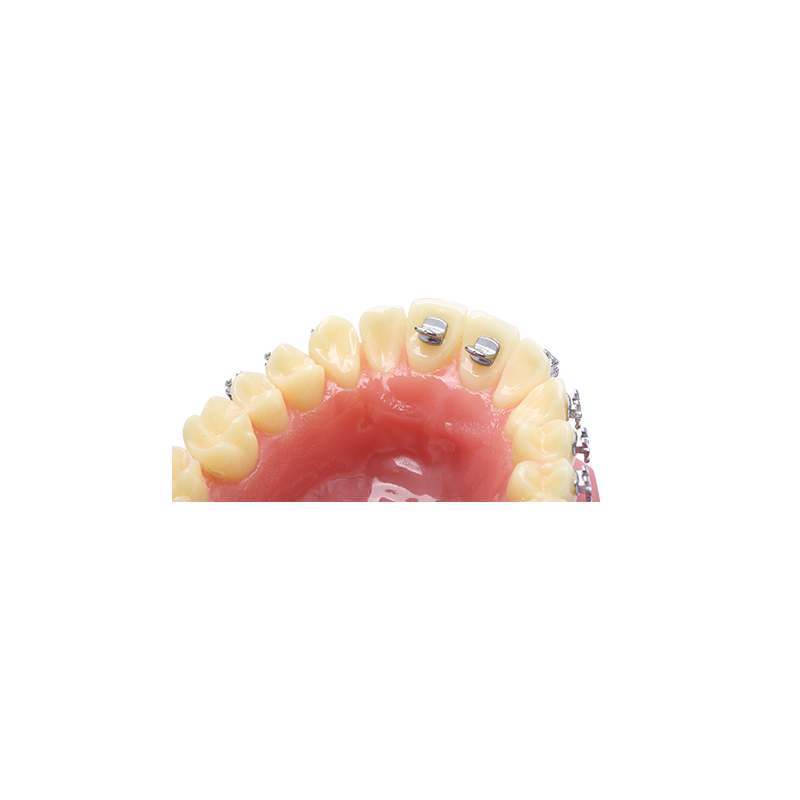 Bite Guide