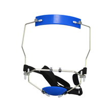 Adaptable Class III Mask - Double Pole