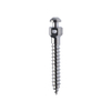 Stainless Steel Mini Screws