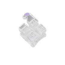 Pure Clear Series Sapphire Brackets