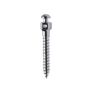Titanium Mini Screws