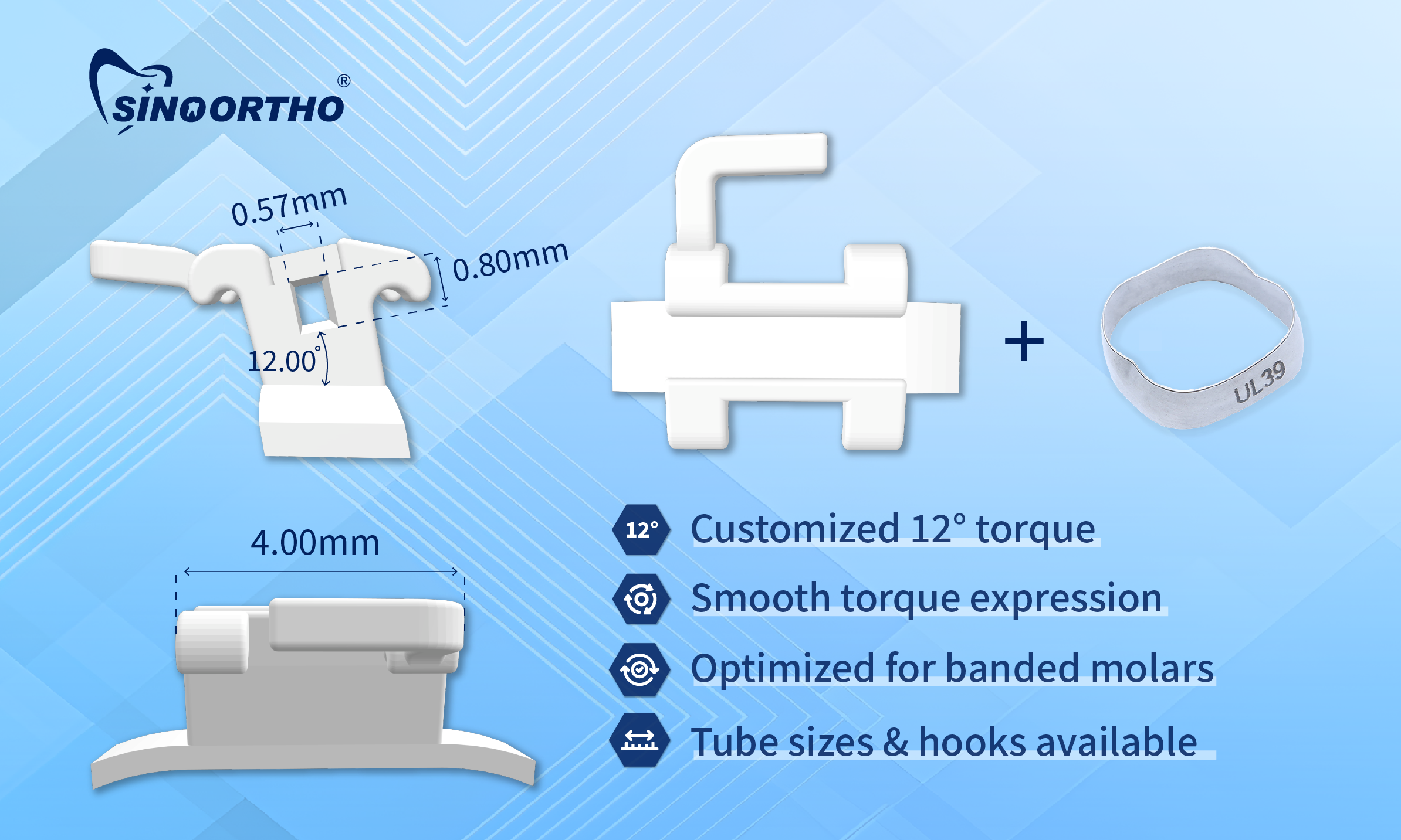 Customized Torque Solutions for Banded Molar Applications