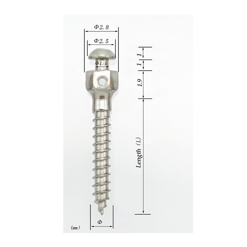 Titanium Mini Screws