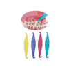 Orthodontic Elastic Directors